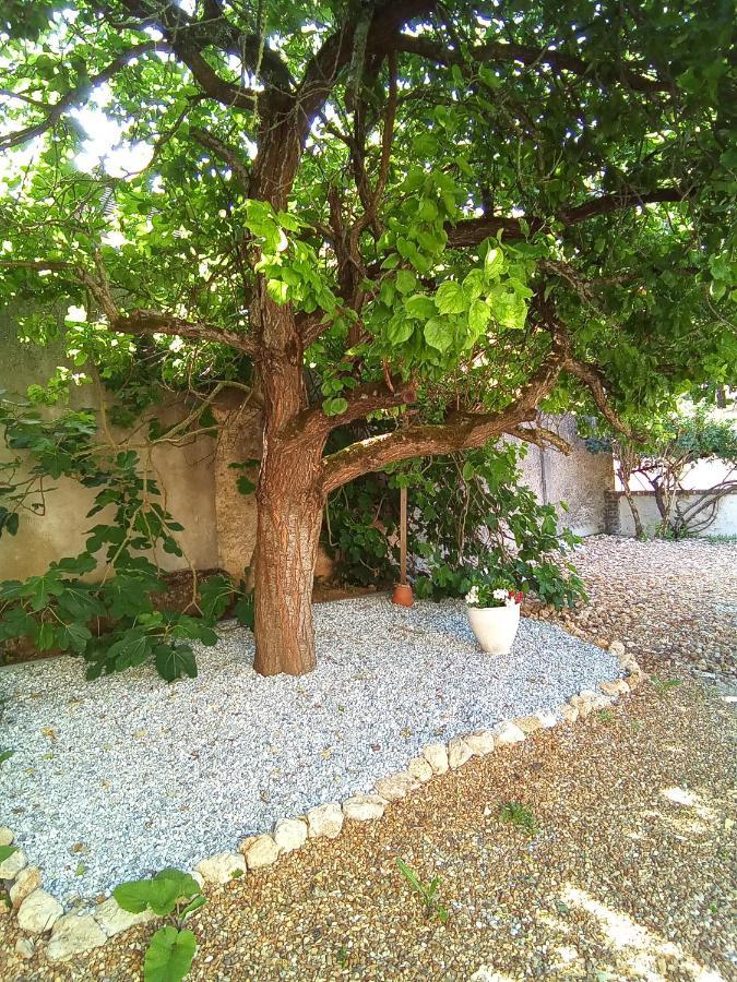 Les Cavelots A Vendome Villa Dış mekan fotoğraf